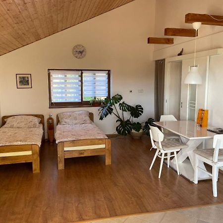 Apartman V Podhuri Jizerskych Hor Zelezny Brod Exteriör bild